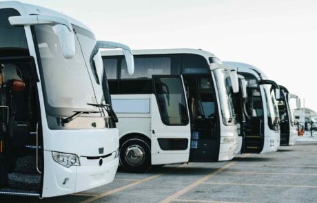 Noleggio Bus con Autista Padova 3 2